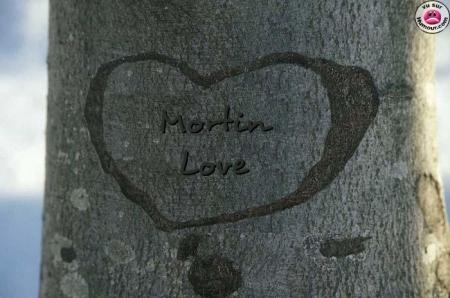 mortin